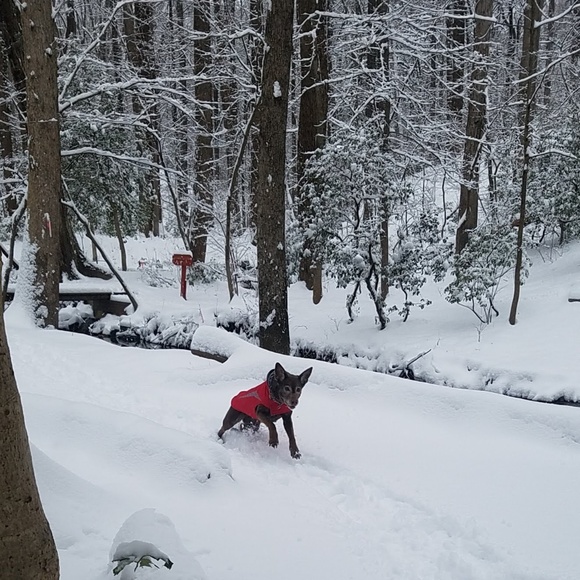 Meet your Posher, Sarah - Picture 4 of 5